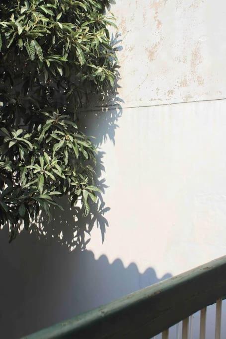 Spacieux Appartement 4 Couchages, Terrasse Privee Narbonne Exterior foto